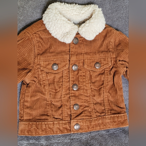 Baby B'Gosh Other - Infant's 6 Month Corduroy Jacket with Sherpa Collar NICE Zero Flaws